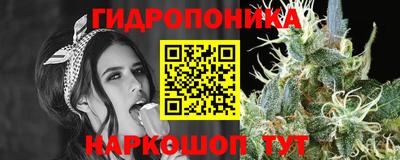 гашик Лесосибирск